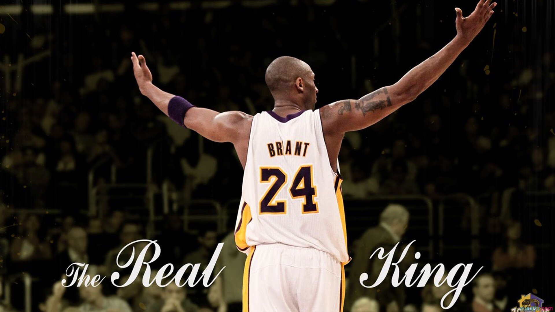 比赛精彩回顾：所有高光瞬间点亮赛场！，年度高光时刻